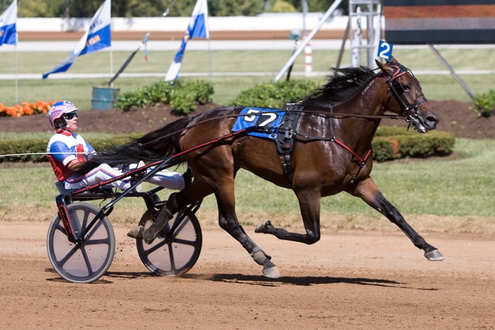 donato hanover Donato Hanover